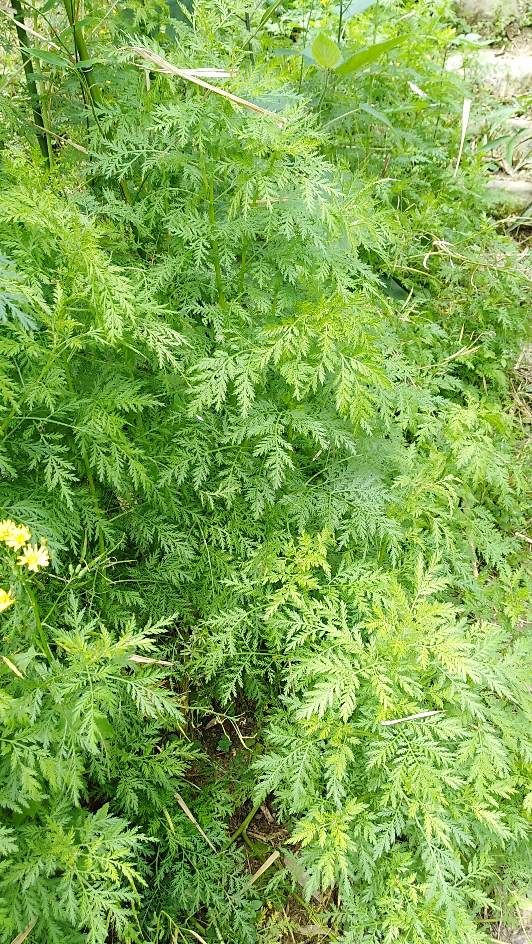 辽宁与山东，一场跨越地域的文化碰撞